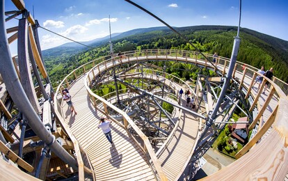 Blick von Oben auf den Baumwipfelpfad. (Verschlungene Holzwege auf denen Menschen stehen.)